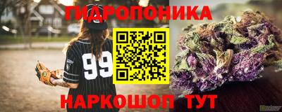 тгк Камышлов
