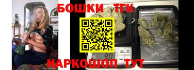 тгк Камышлов