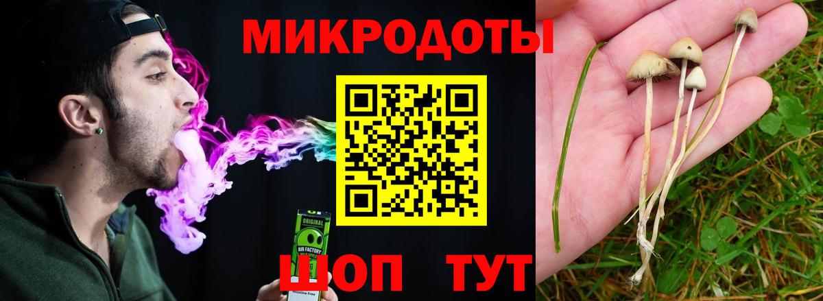 Галлюциногенные грибы Cubensis  Вход с VPN  Псилоцибиновые грибы ЛСД  Лесозаводск 
